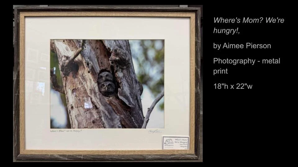 Copy of 2026 DEMOCRACY by DESIGN ARTWORK (35).jpg