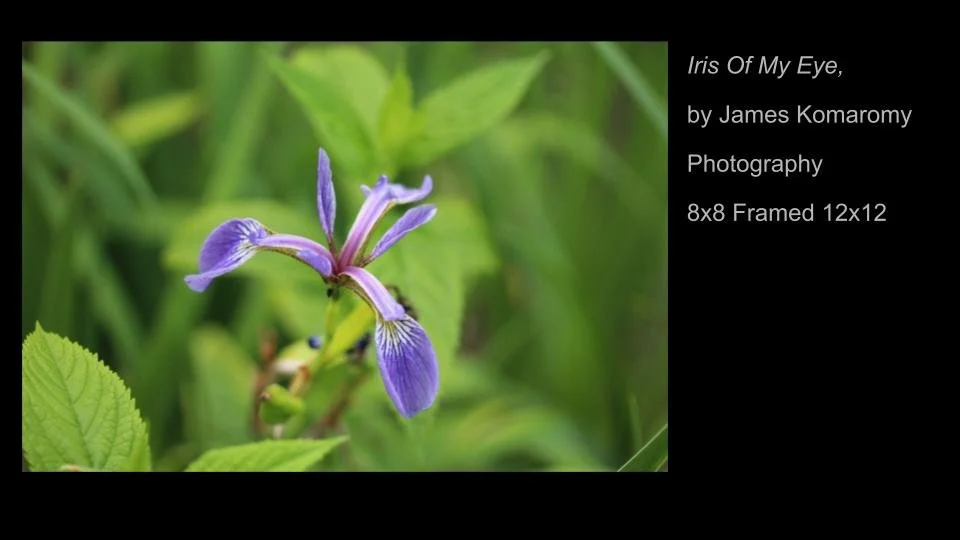 Copy of 2026 DEMOCRACY by DESIGN ARTWORK (27).jpg