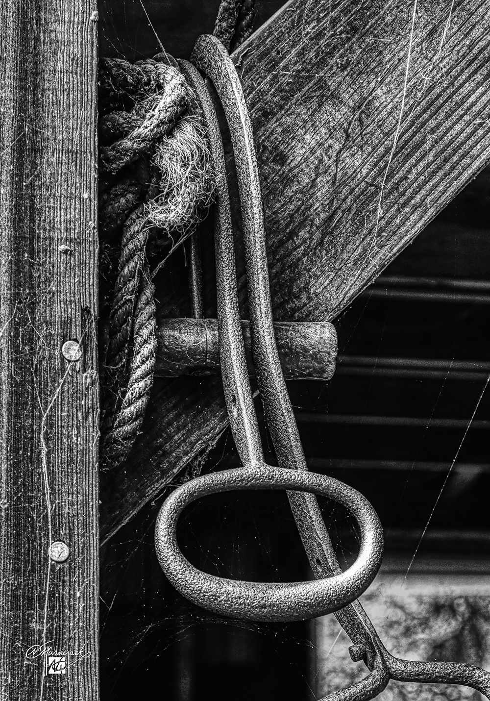 Hay Hooks by Nancy C Murnyack