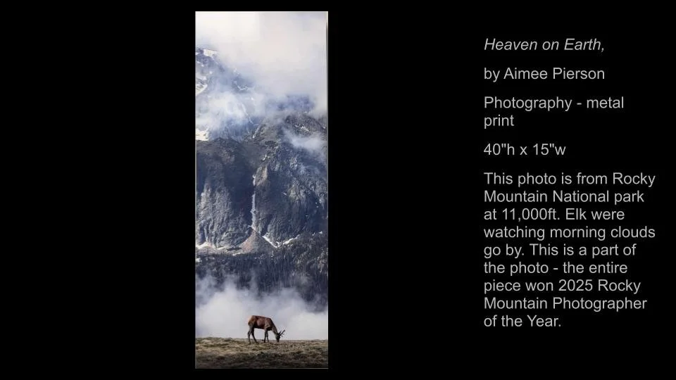 Copy of 2026 DEMOCRACY by DESIGN ARTWORK (37).jpg