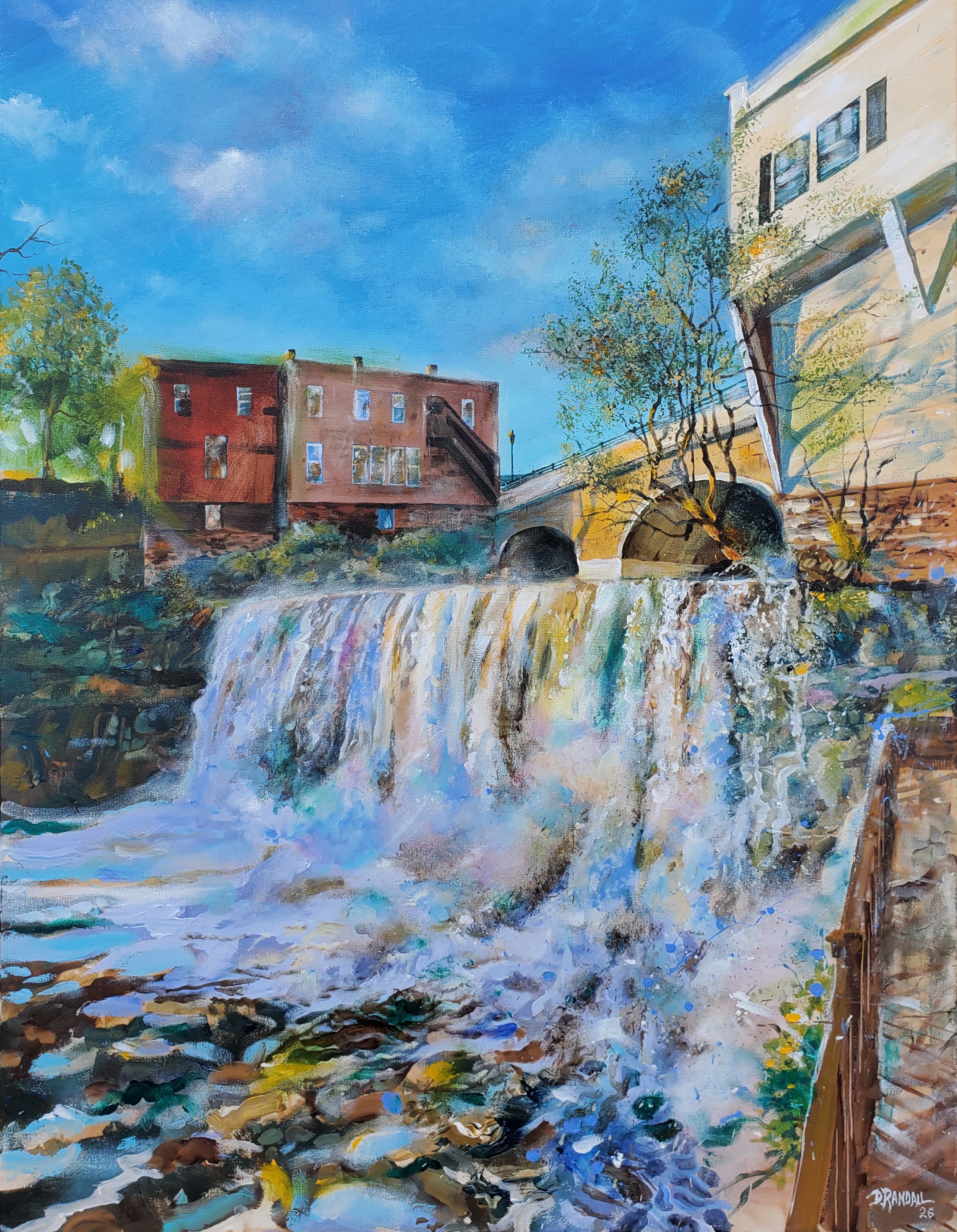 The Falls by David Randall