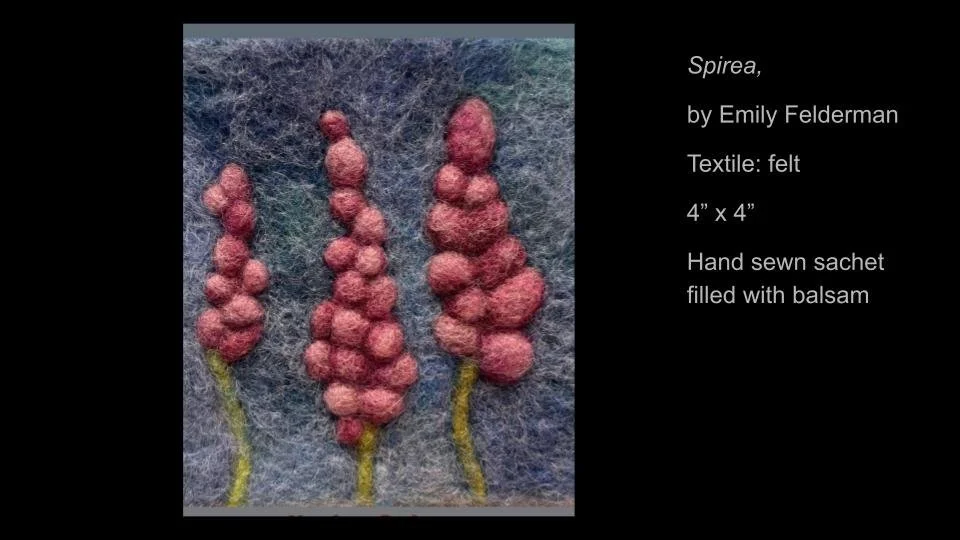 Copy of 2026 DEMOCRACY by DESIGN ARTWORK (15).jpg