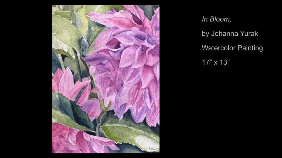 Copy of 2026 DEMOCRACY by DESIGN ARTWORK (43).jpg