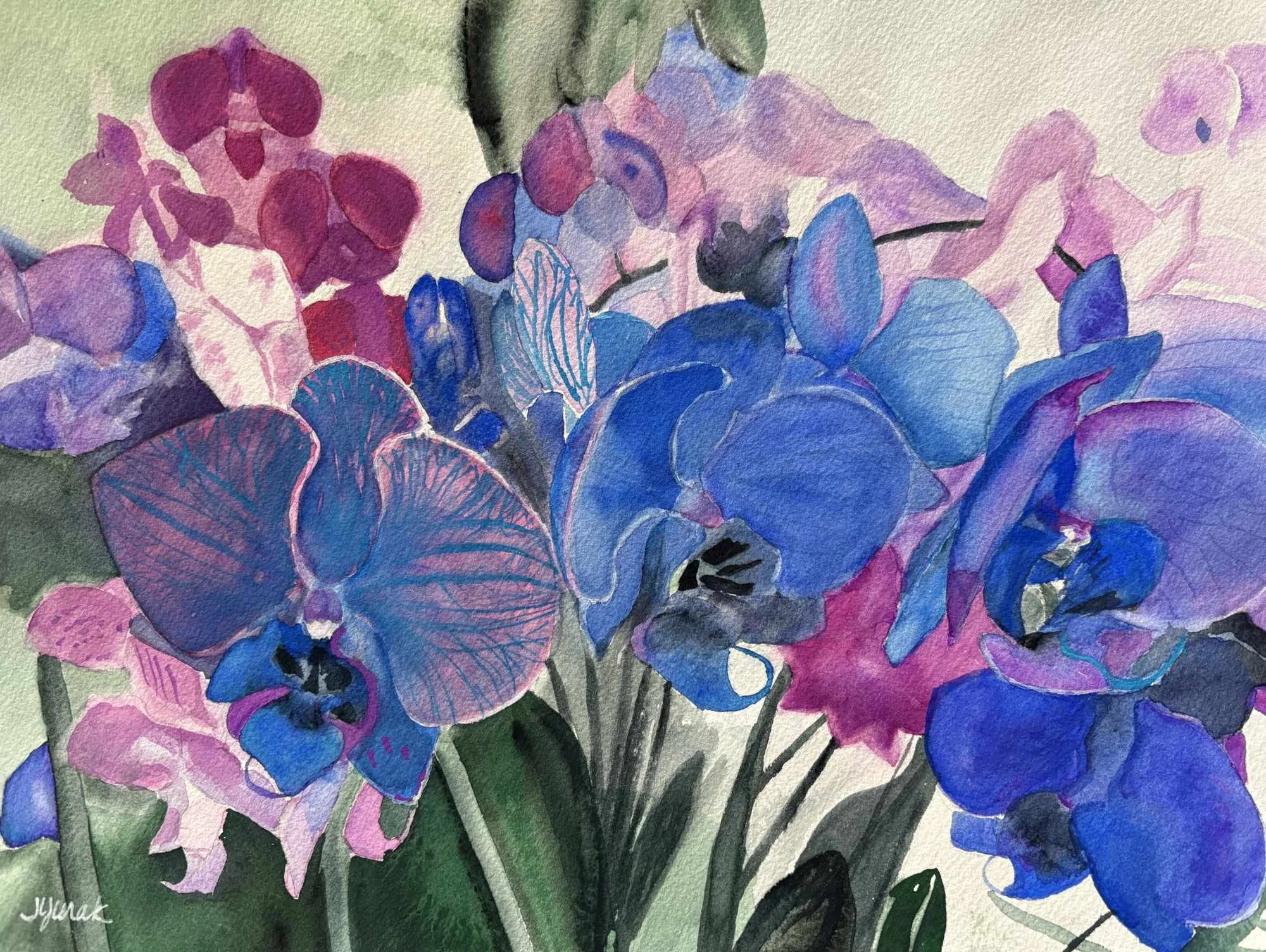 Orchid Show by Johanna Yurak