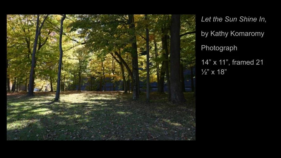 Copy of 2026 DEMOCRACY by DESIGN ARTWORK (53).jpg