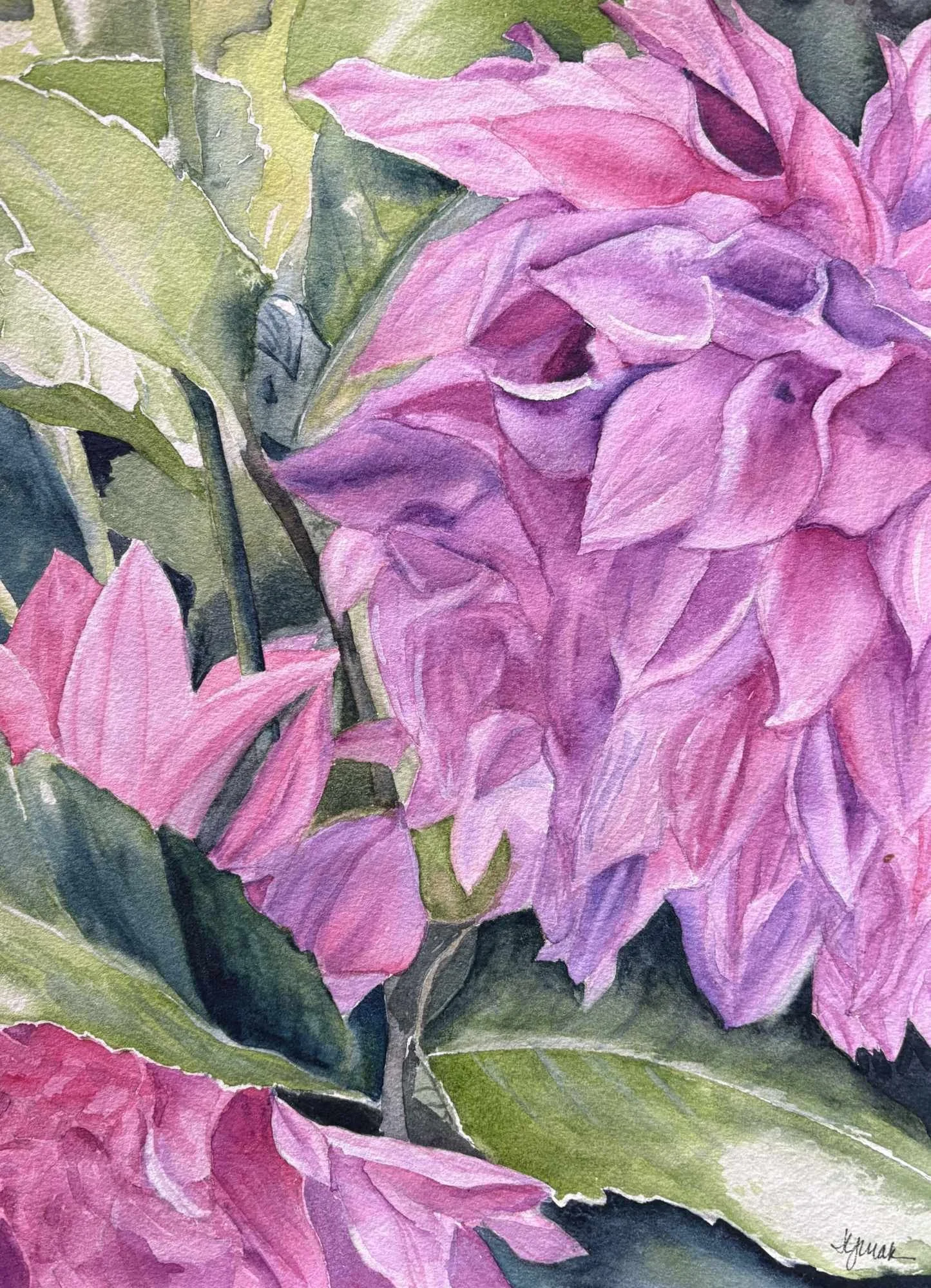 In Bloom by Johanna Yurak