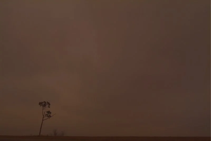 texas.jpg