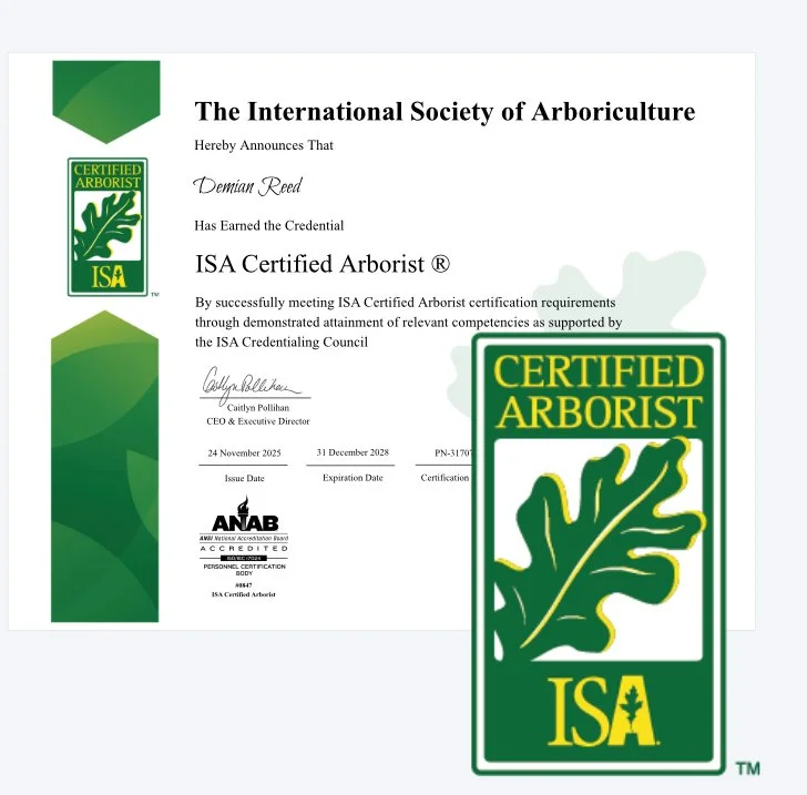 Certificate from the International Society of Arboriculture for Demian Reed, certifying as an ISA Certified Arborist, issued on November 24, 2025, with a certification expiration date of December 31, 2028, and featuring a green and yellow ISA Certified Arborist logo with an oak leaf design.