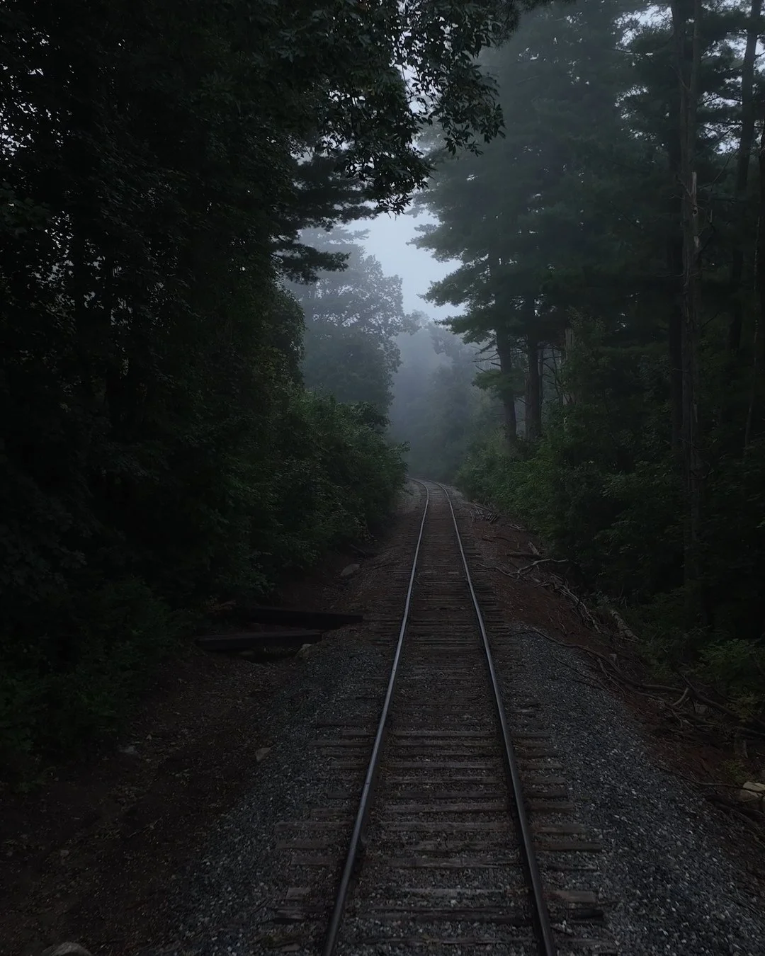 drone image 2_1.31.1.jpg