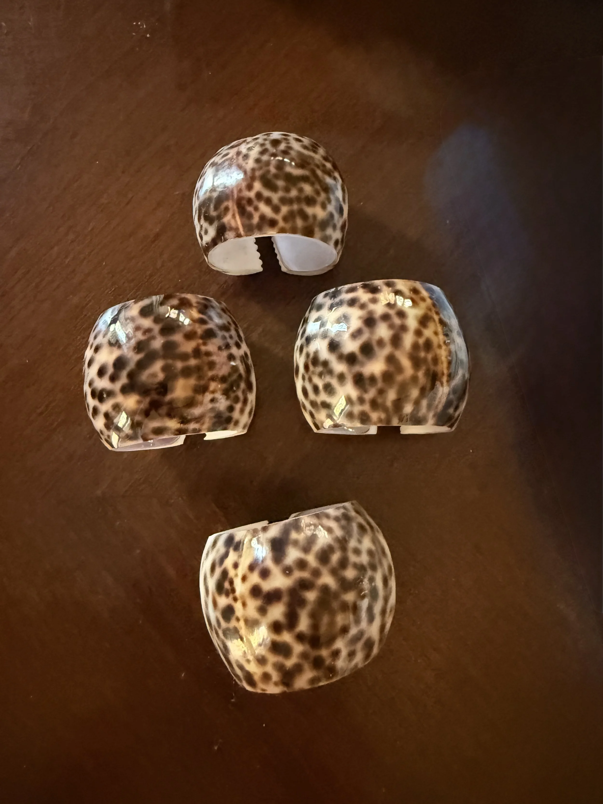 cowre shell napkin rings set of four