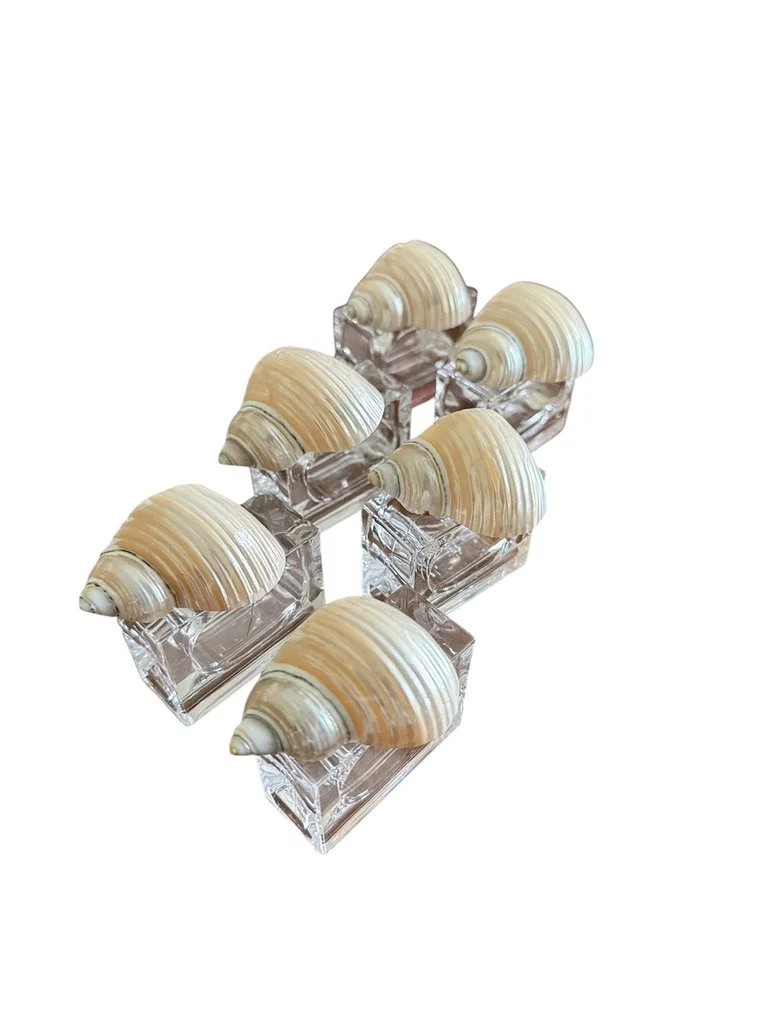 shell-acrylic-napkin-holders-set-of6