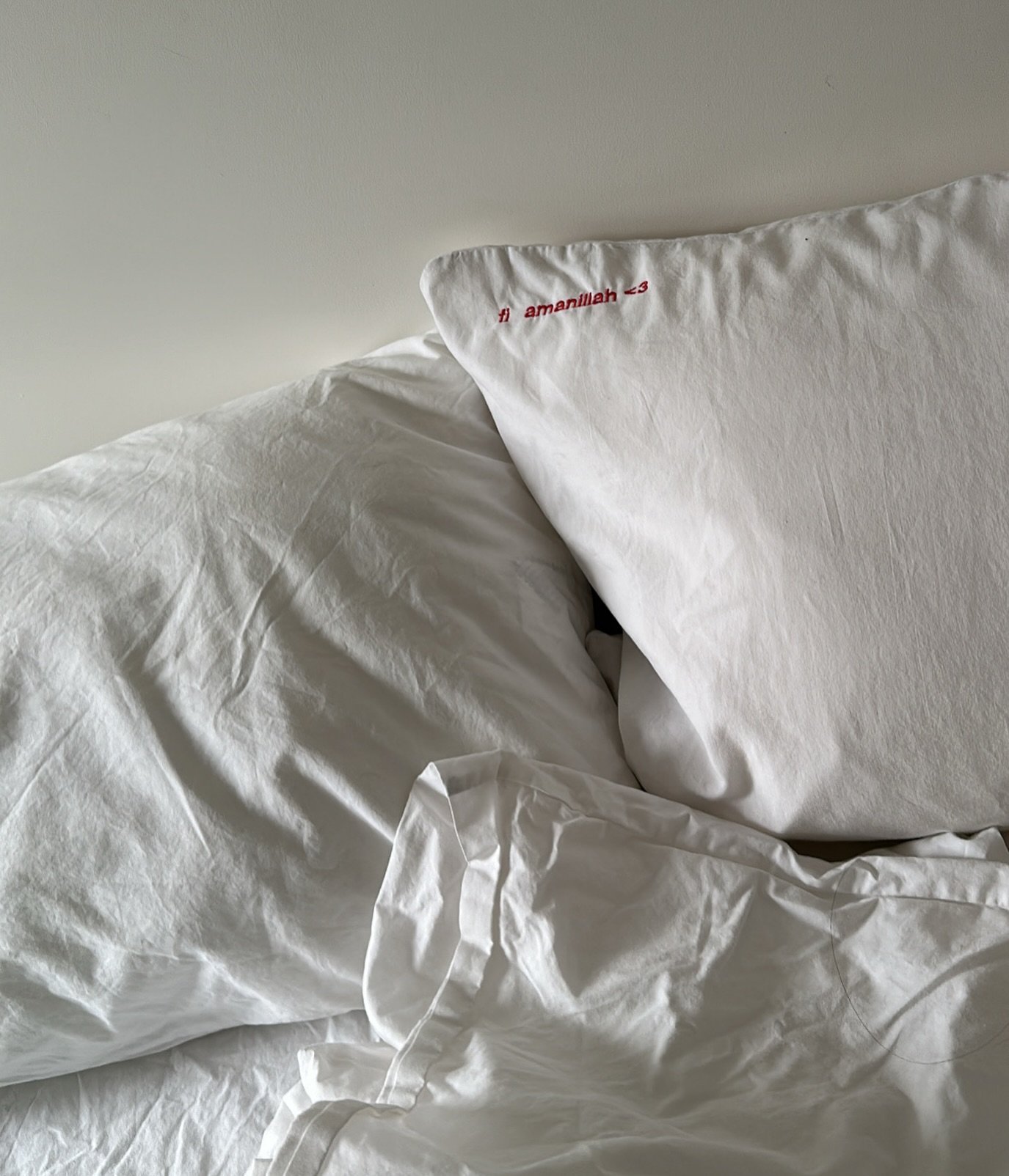 &lsquo;fi amanillah&rsquo;- I leave you in the care of Allah ❤️