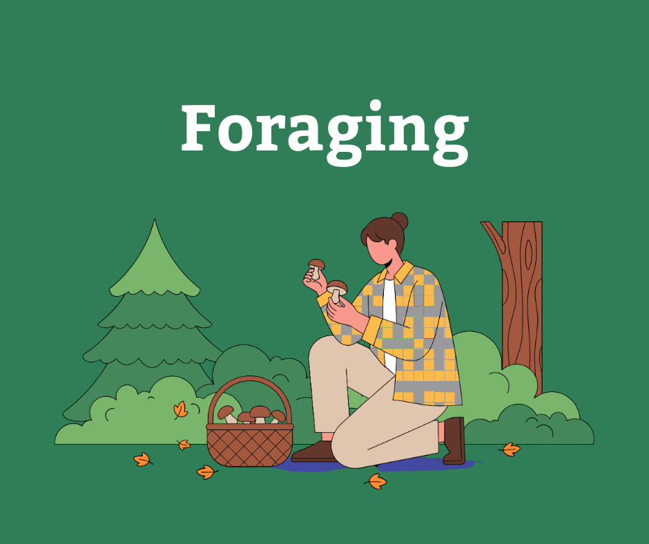 Foraging