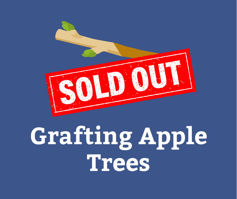Grafting Apple Trees