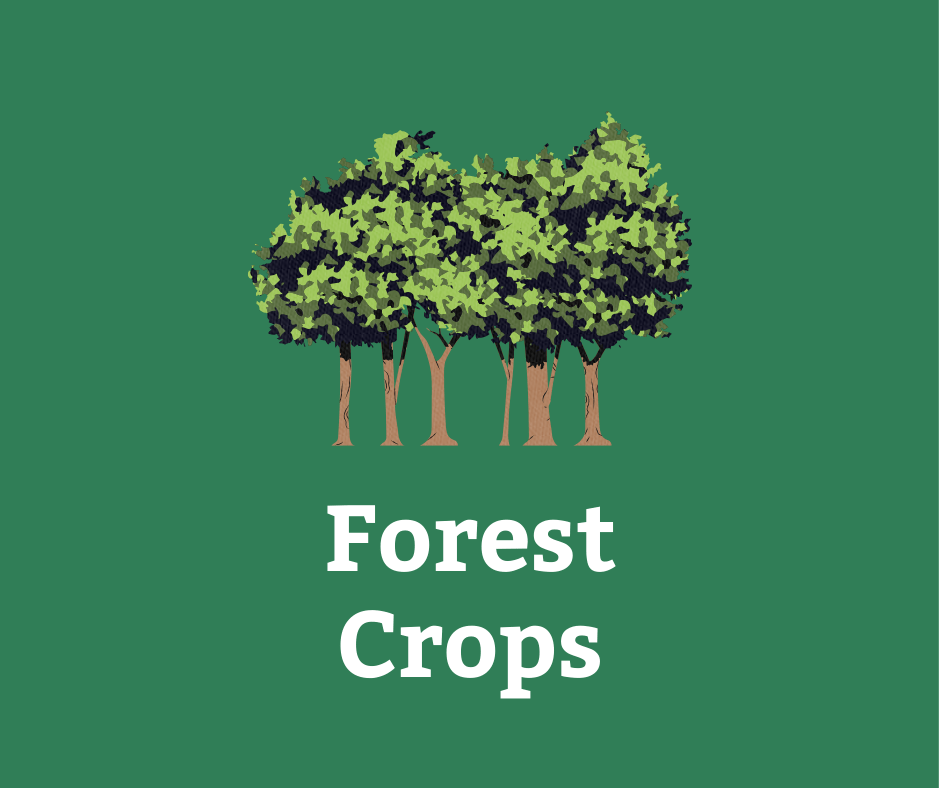 Forest Crops