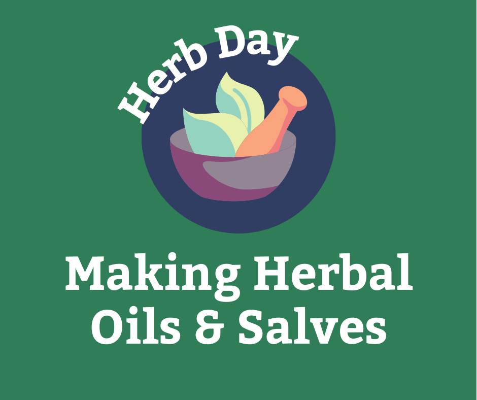 Herb Day: Making Herbal Oils & Salves
