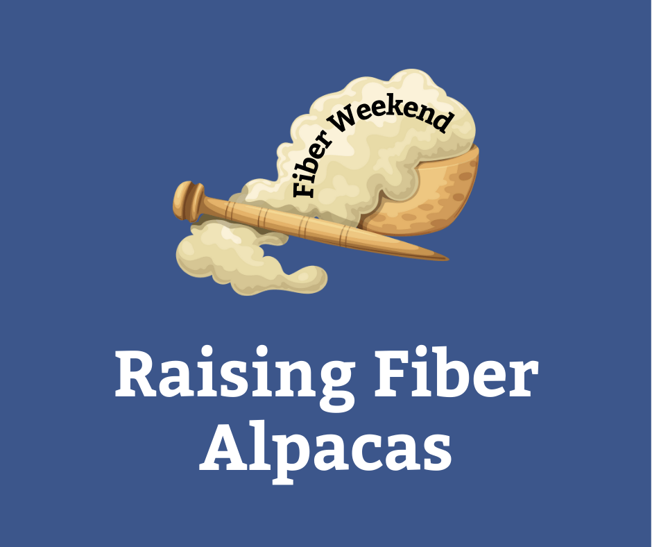 Fiber Weekend: Raising Fiber Alpacas