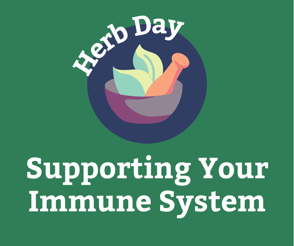 Herb Day: Supporting Your Immune System
