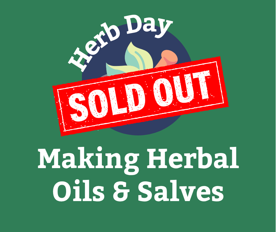 Herb Day: Herbal Oils &amp; Salves
