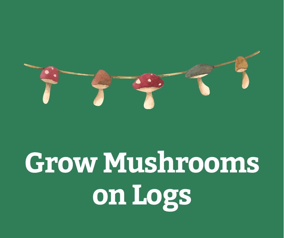 Mushroom Logs