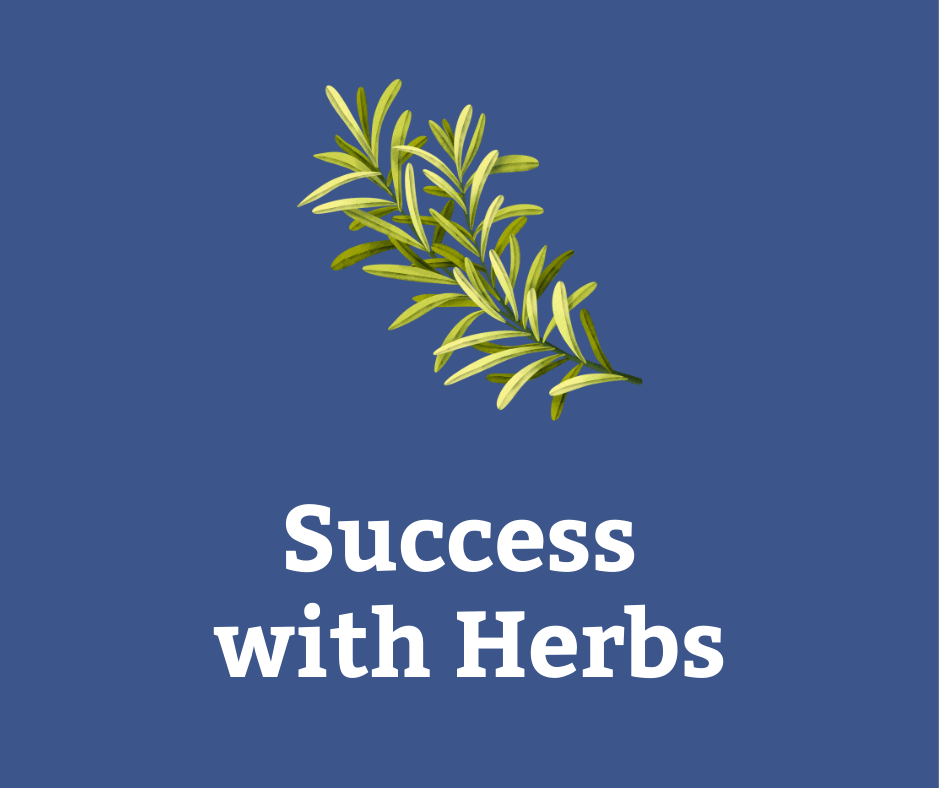 Success with Herbs