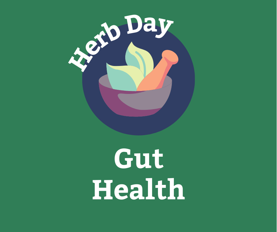 Herb Day: Gut Health