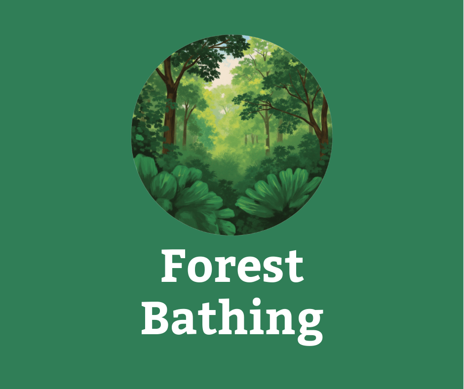 Forest Bathing