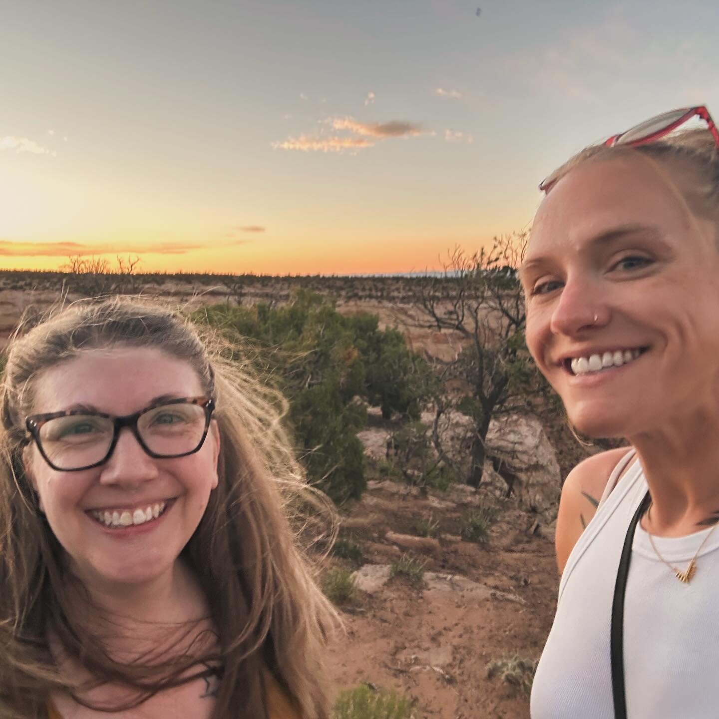 Left my friend on the west coast today. Feel incredibly lucky to have gotten the whole week driving across the country with her, hanging with her family, and bargaining with a cat to please calm down.
I could not be happier for her and sadder for a