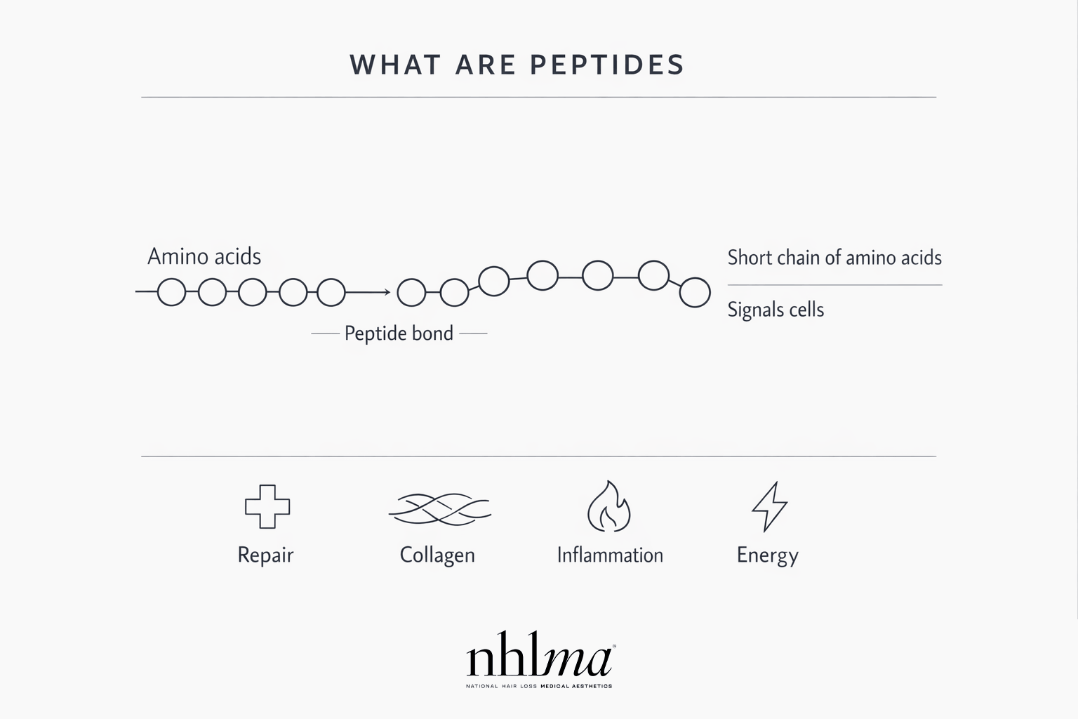 a diagram showing what peptides are for repair, collagen and energy