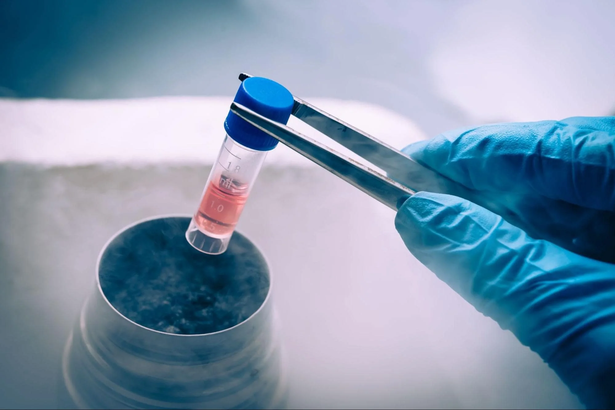 Stem Cell Secretomes: The Future of Regenerative Hair Restoration and Skincare