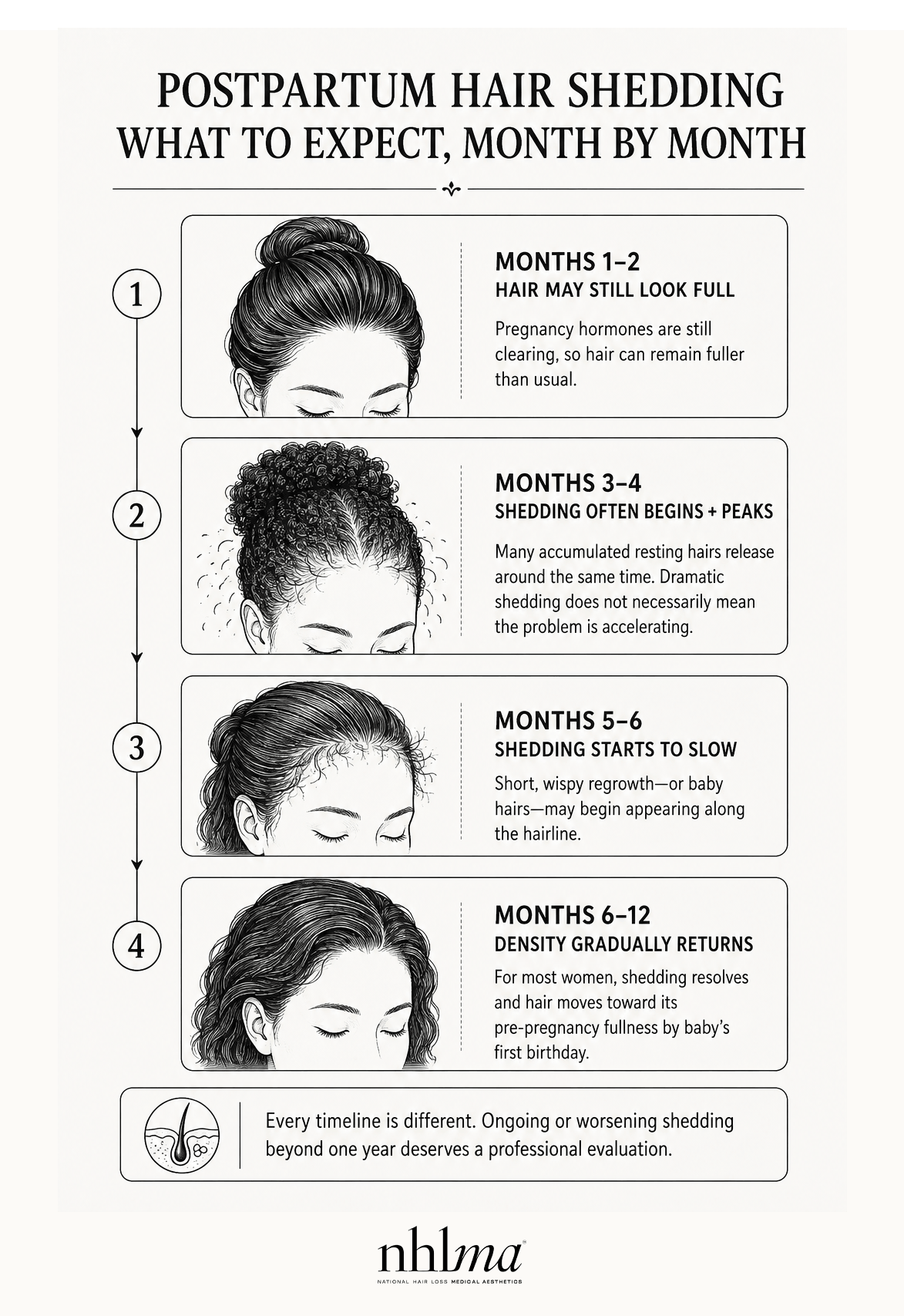 a diagram showing postpartum hair loss timeline