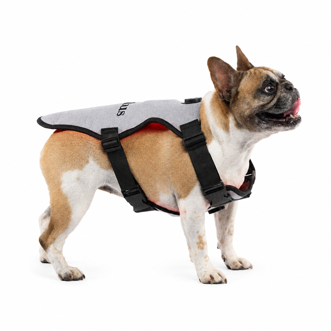 Pet vest- medium-side (1).png