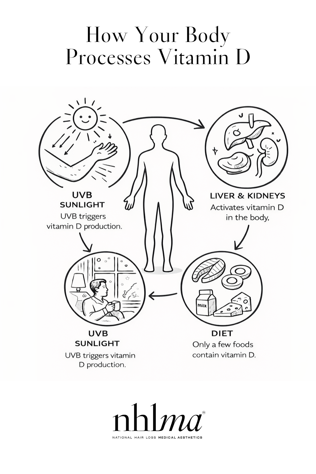 how your body processes vitamin d diagram from NHLMA