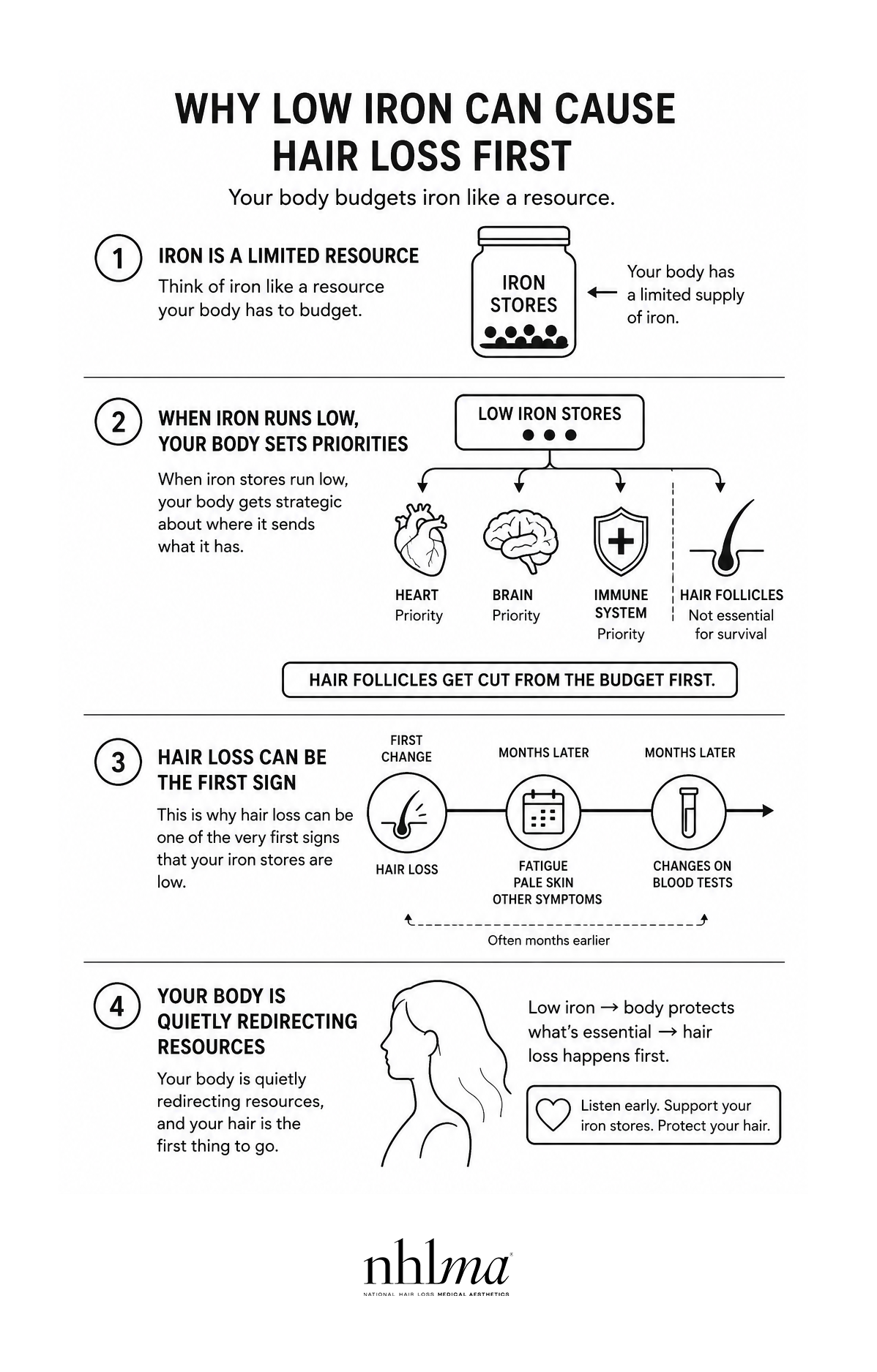iron and hair loss diagram
