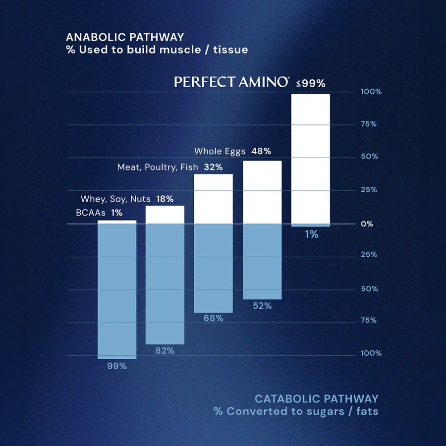 Protein_Chart_PA_M-no-cmp.webp