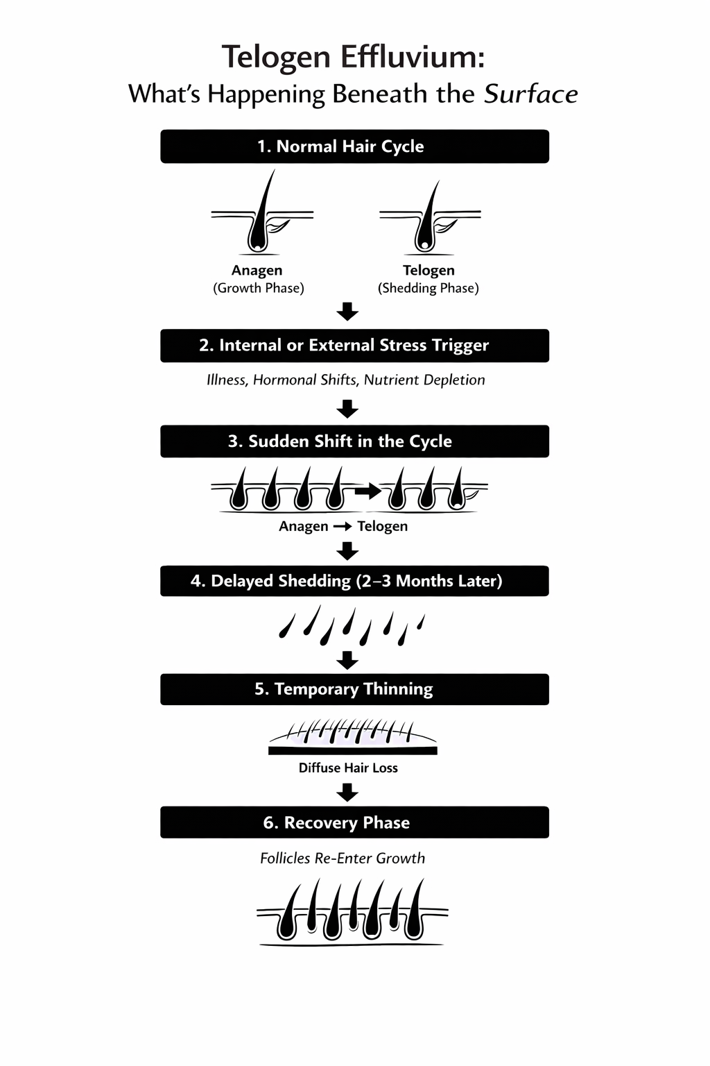 diagram of hair loss side effect glp1