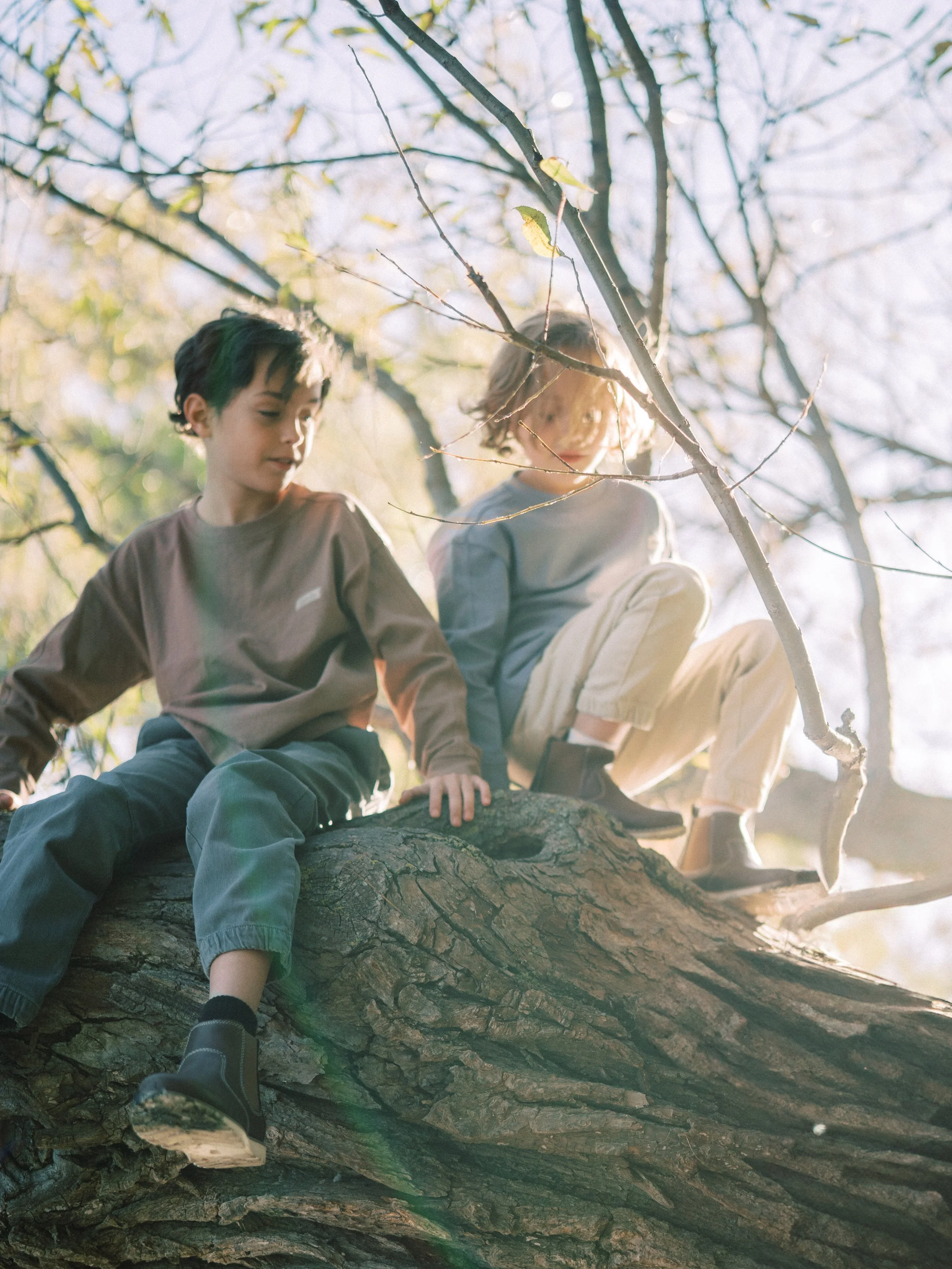 Two children, a boy and a girl, sitting on a large fallen tree trunk surrounded by bare tree branches with sunlight filtering through in the background.