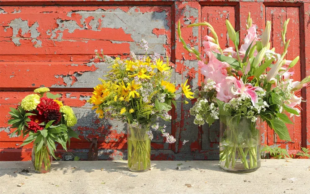 Chicago Eco House - Southside Blooms