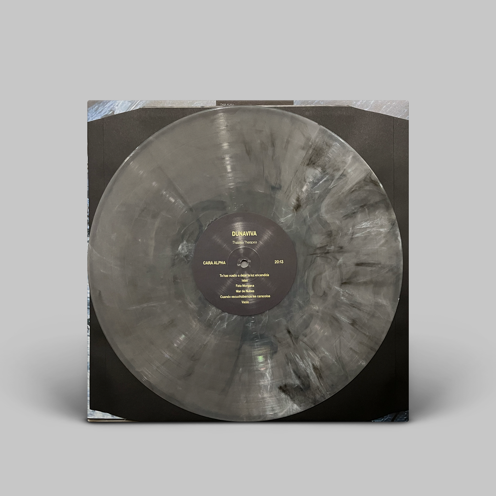 Dunaviva Vinyl.png