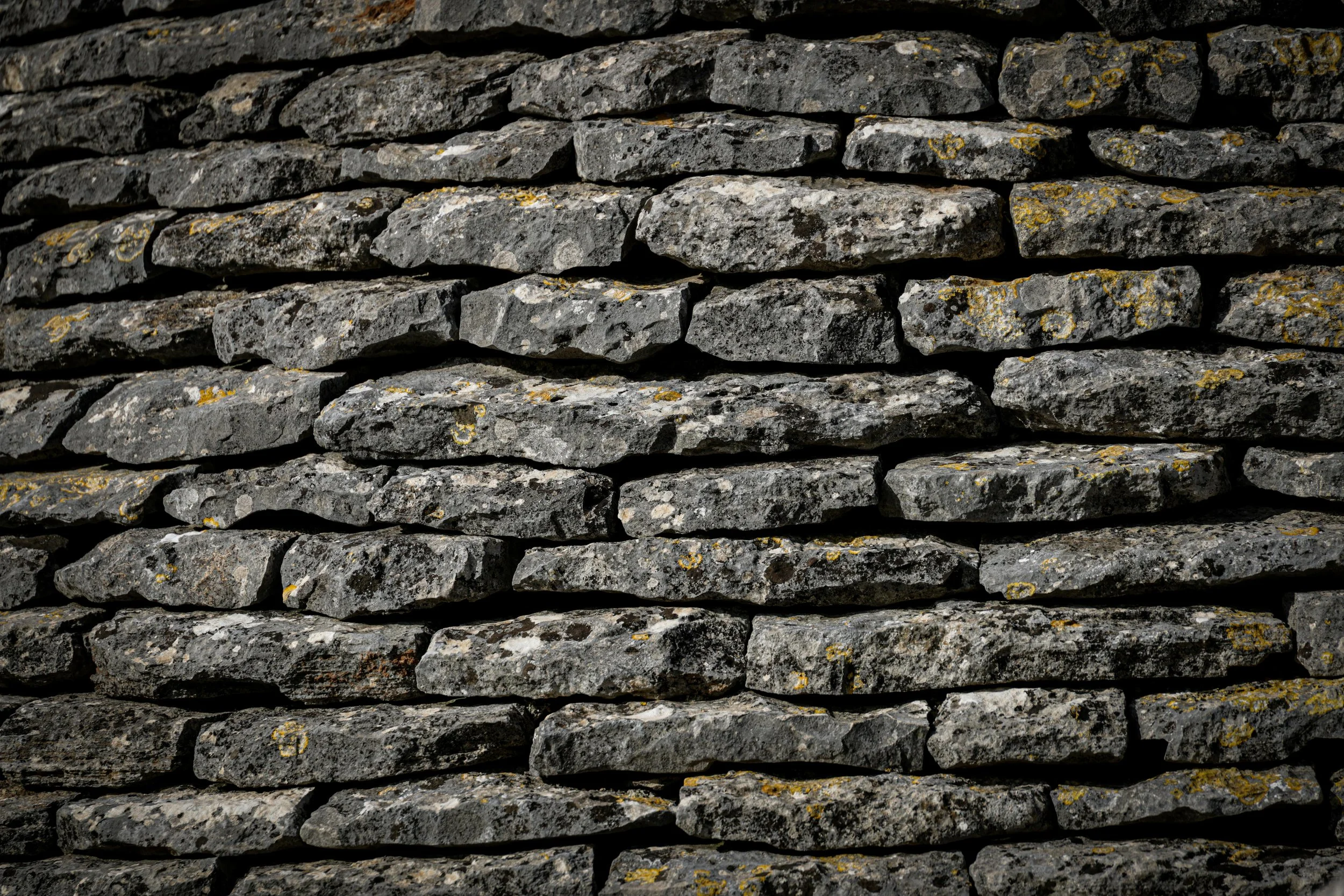 Foundation and Focus