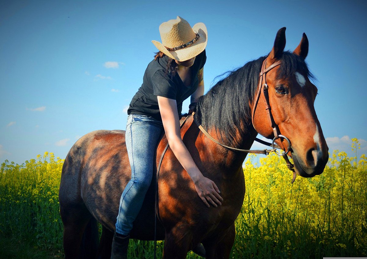 Horseback riding near Rivenrock Lodge
