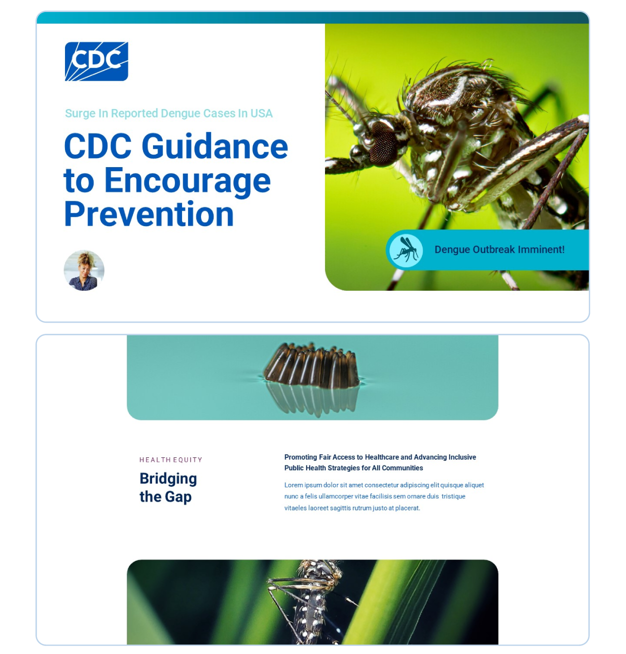 CDC Brand Identity | Presentations