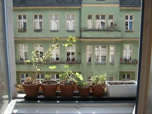 Getting Started with a Sustainable Lifestyle