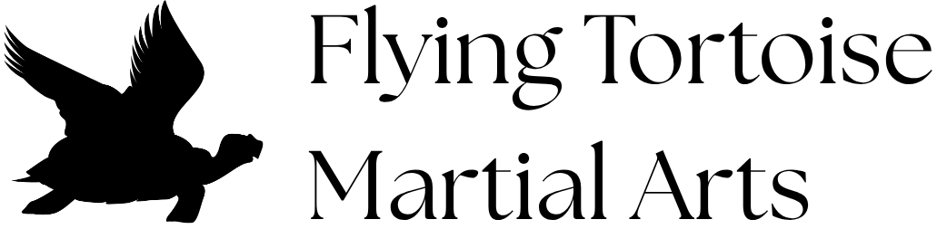 Flying Tortoise Kung Fu