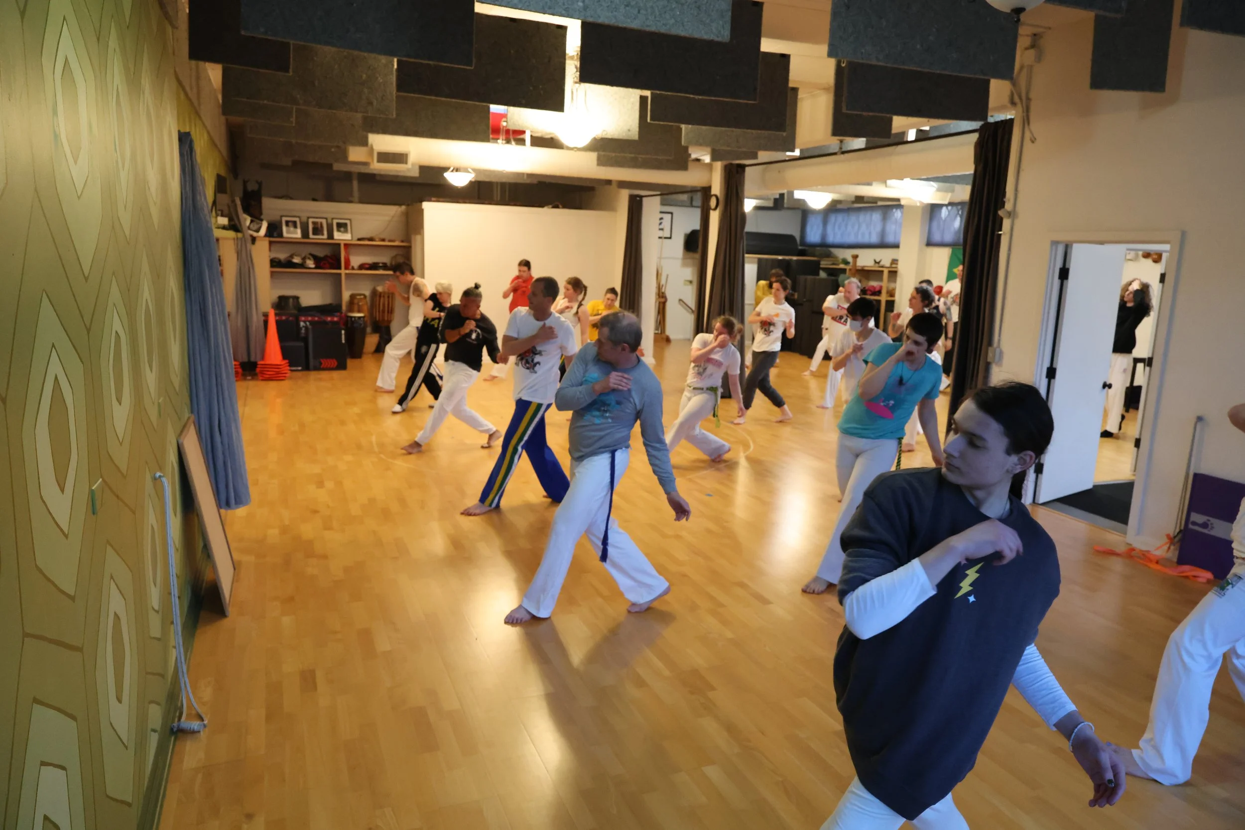 Flying Tortoise Kung Fu Capoeira Adult Class.JPG