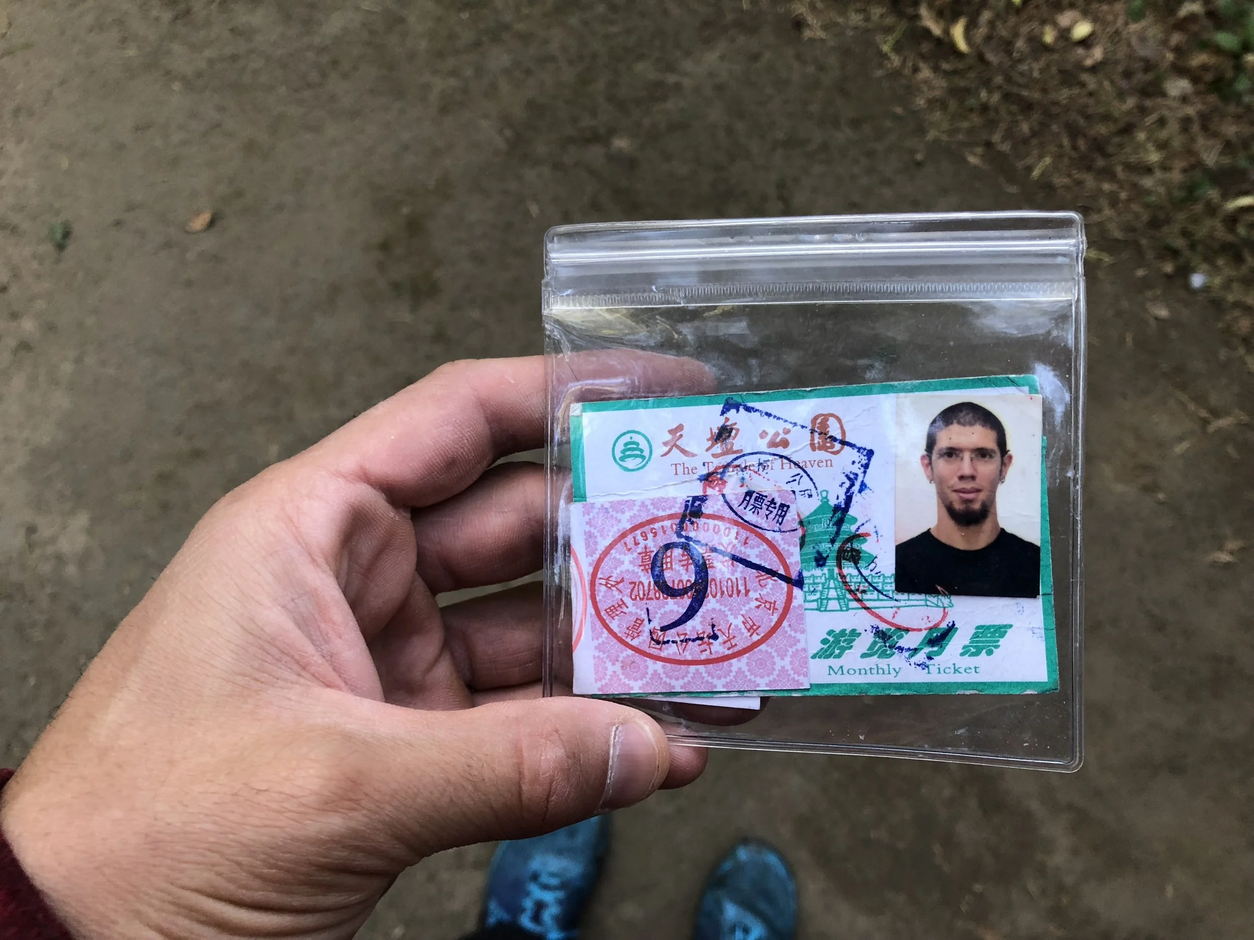 Flying Tortoise 1809 Temple Pass.jpg