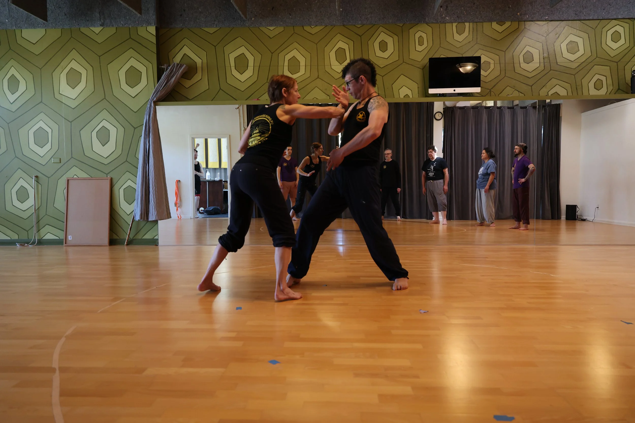 BaGua Shifu Joey Haber Flying tortoise 20250319 01.JPG