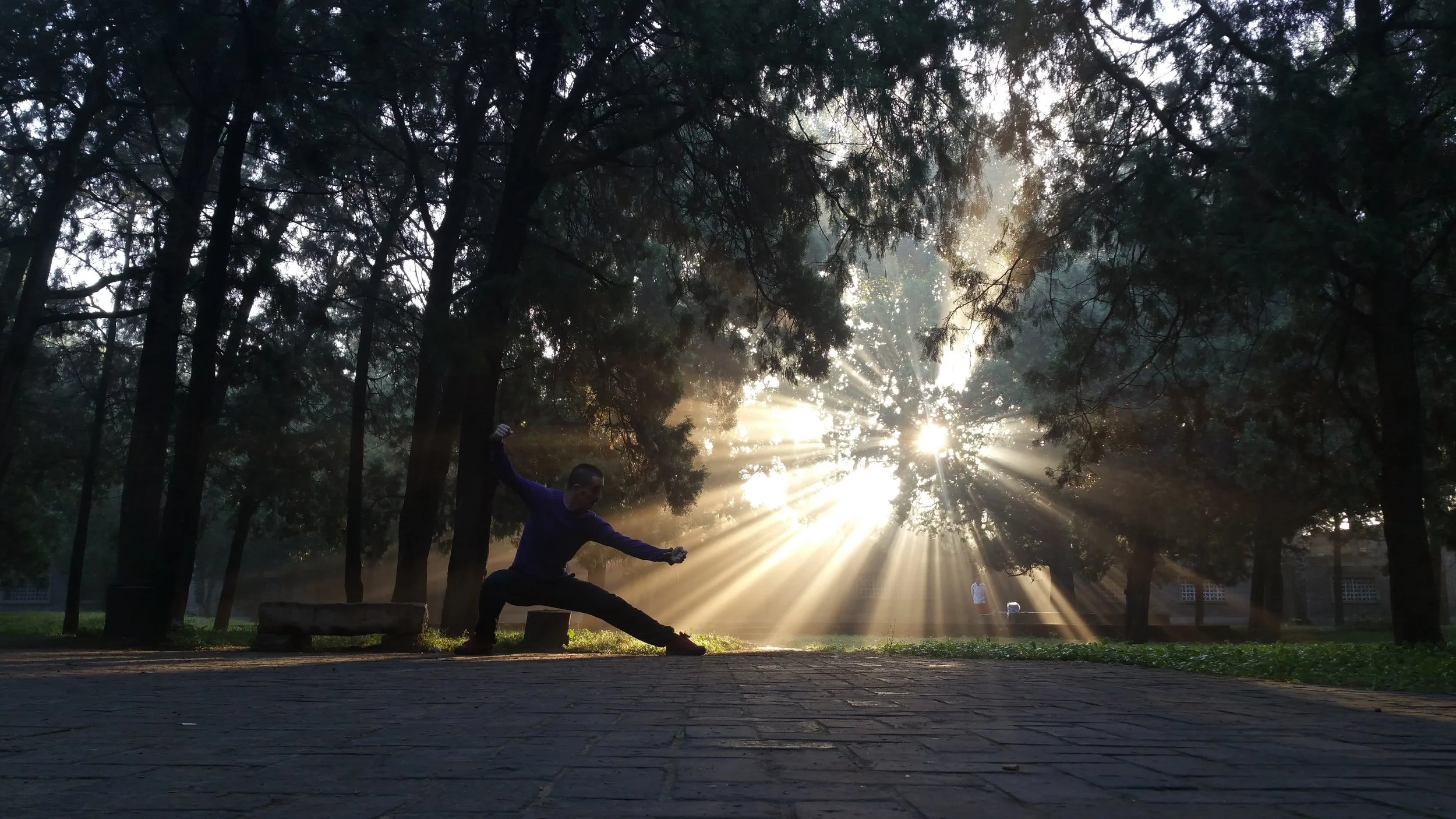 Flying Tortoise Senior Teacher Fritz Rice Sun.jpeg