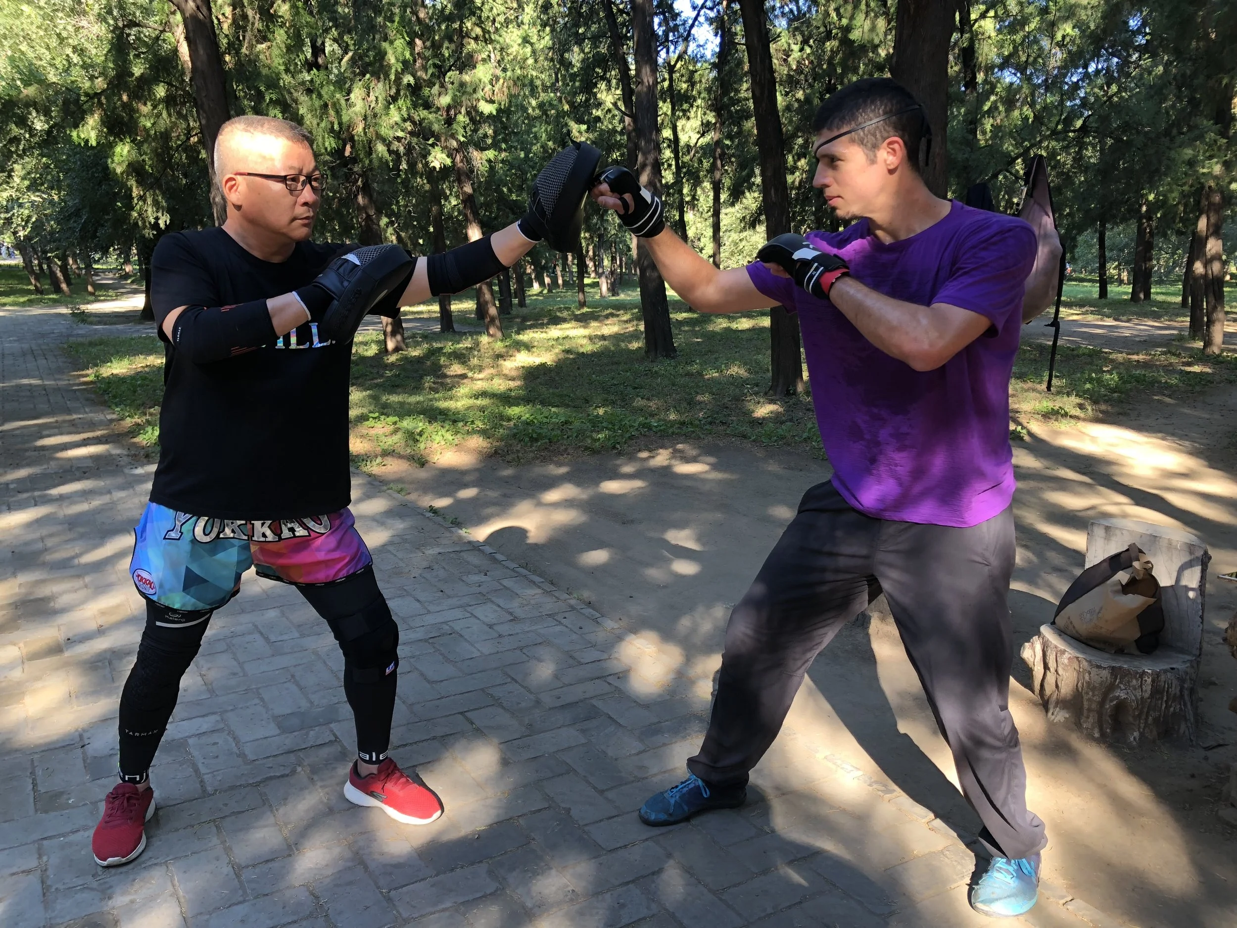 Flying Tortoise 1809 Sanda.jpg