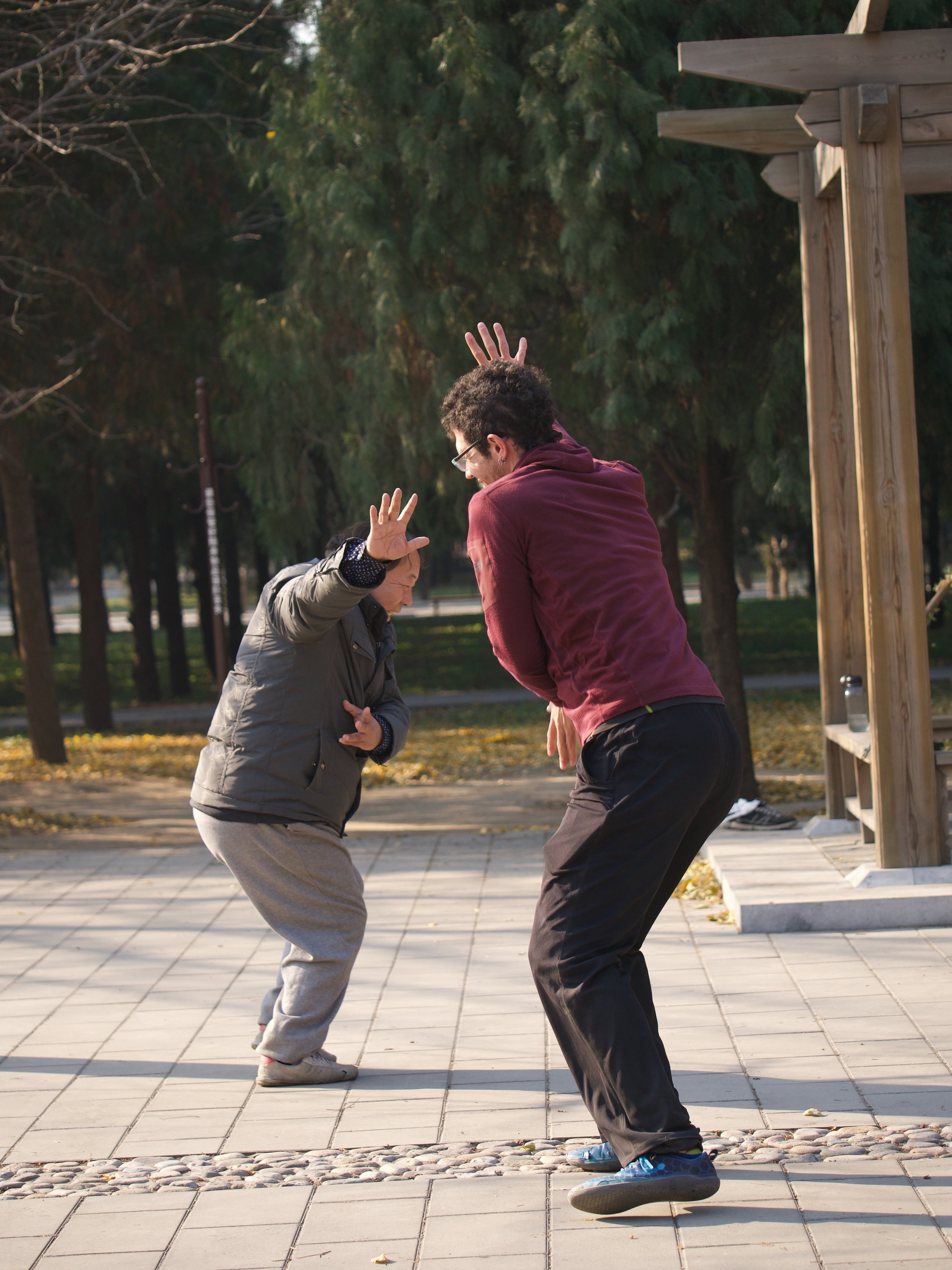 Flying Tortoise 18 ZXA and Joey mirror.jpeg